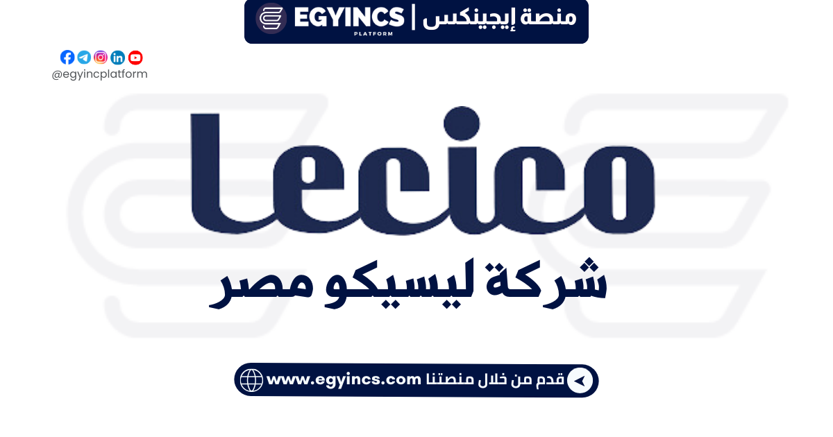 تدريب إدخال البيانات في شركة ليسيكو مصر Lecico Egypt Data entry internship