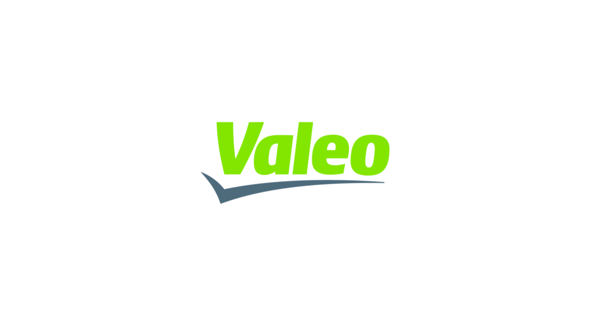 وظيفة مسؤول قاعدة البيانات في شركة فاليو Valeo Database Officer Job